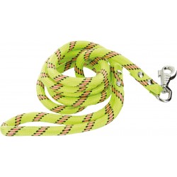 Laisse nylon corde pour chien