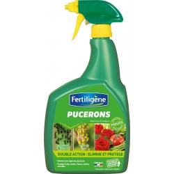 Insecticide puceron double...