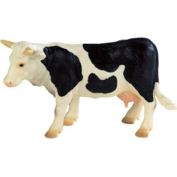 Vache noire et blanche B62609