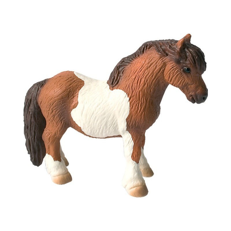 Poney Shetland B62566