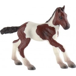 Poulain Paint Horse B62678