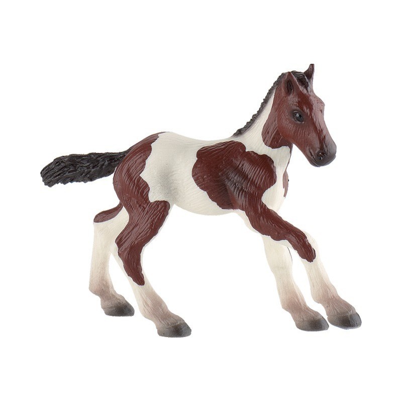 Poulain Paint Horse B62678