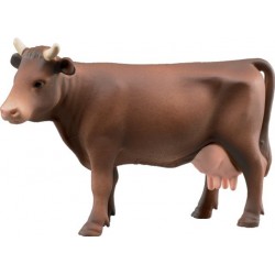Vaches marrons BR02308