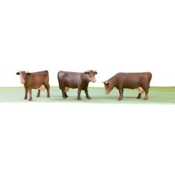Vaches marrons BR02308
