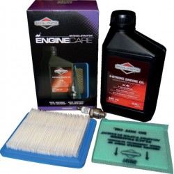 Kit entretien quantum origine Briggs & Stratton