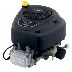 Moteur Briggs and Stratton series 4185