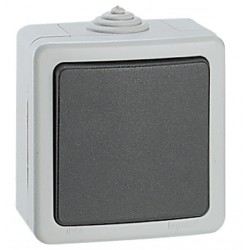 BOUTON POUSSOIR 2A PLEXO GRIS LEGRAND