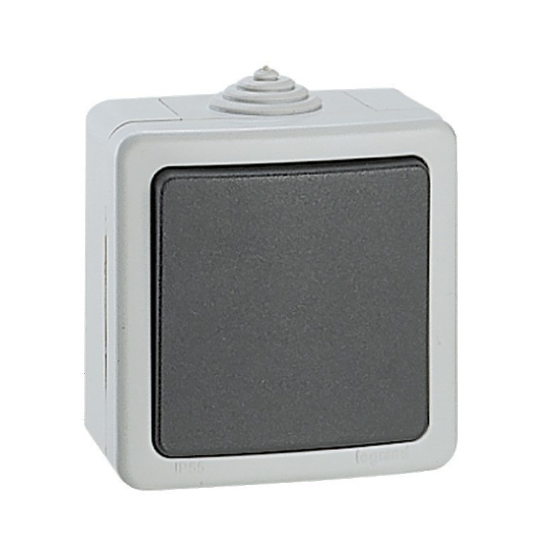 BOUTON POUSSOIR 2A PLEXO GRIS LEGRAND