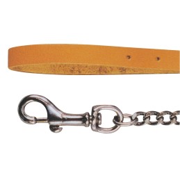 Laisse avec chaine pour chien