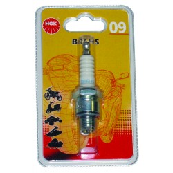 BOUGIE NGK BR8HS