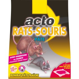 Rat - souris pate