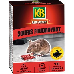 Souricide cereales foudroyant avec boite dappat