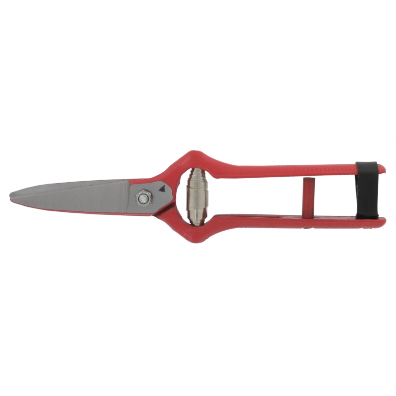 EPINETTE VENDANGE RGE A ECROU