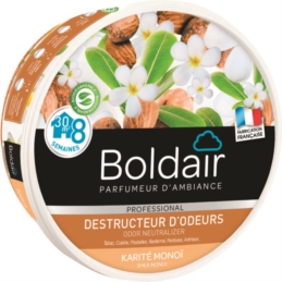 GEL DESTRU ODEUR KARITE 300G