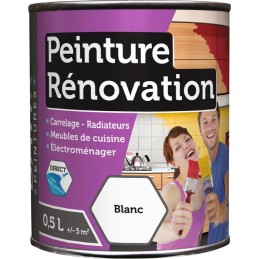Peinture renovation multi-surfaces