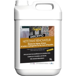 Nettoyant renovateur mur et facade anti-cryptogames