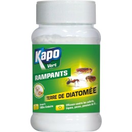 Terre de diatomee traitement insectes rampants