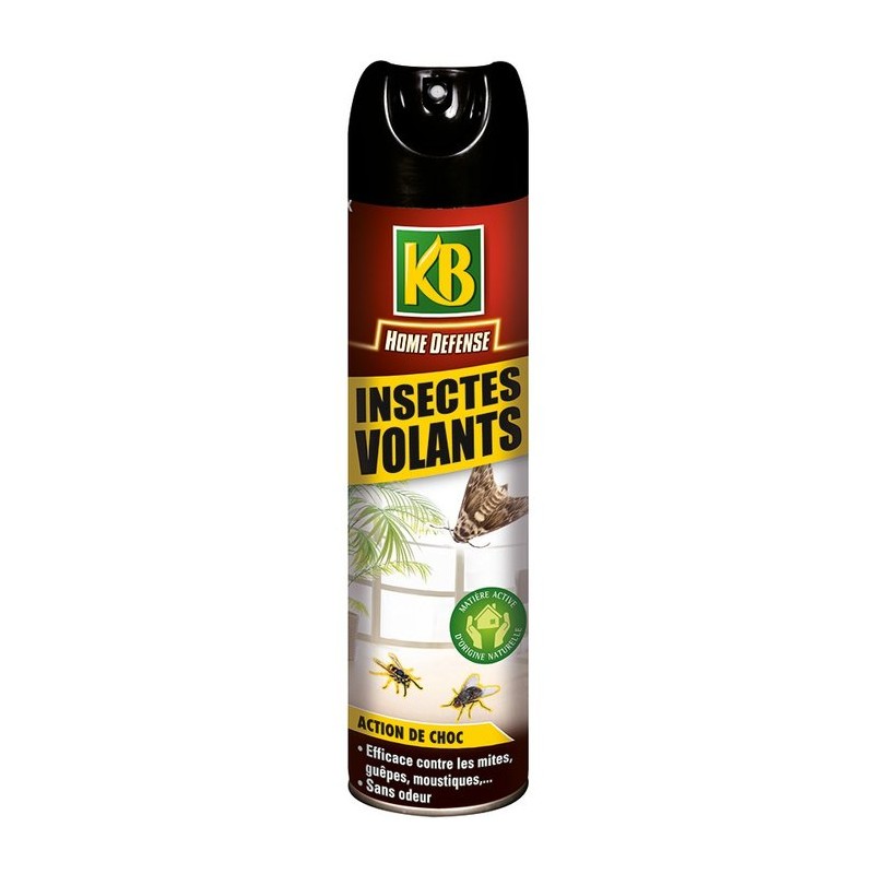 Insecticide insectes volants