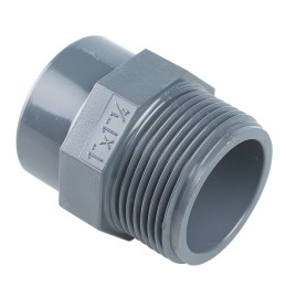 Reduction male / femelle