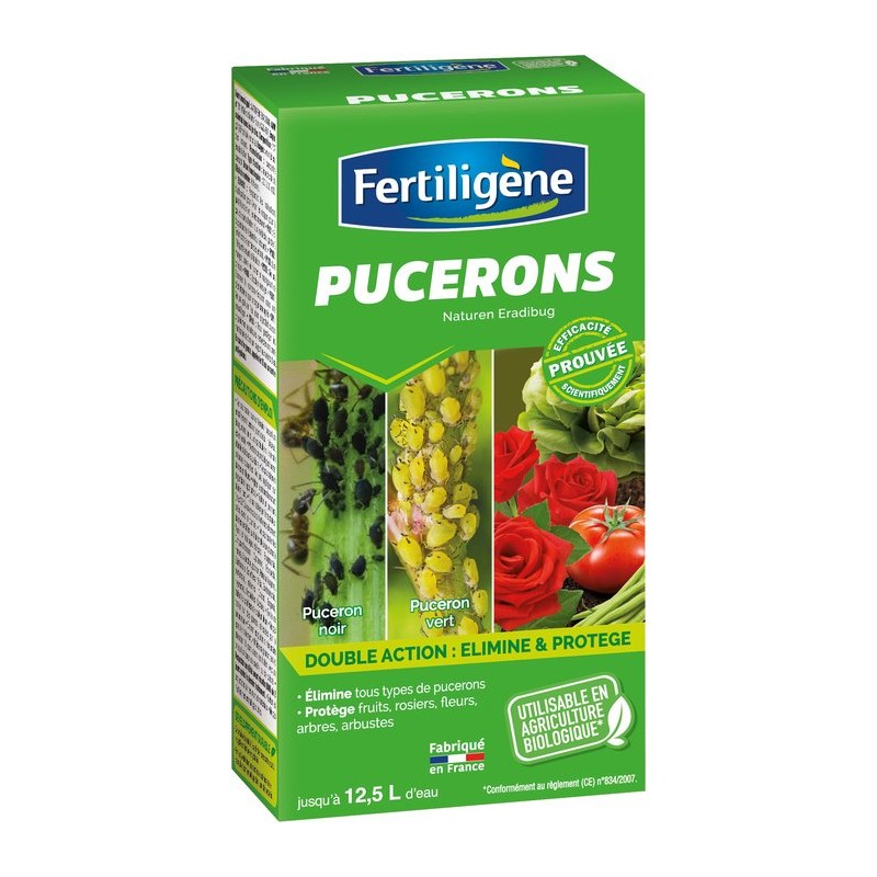 Insecticide pucerons