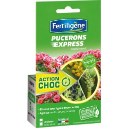 Insecticide express pucerons