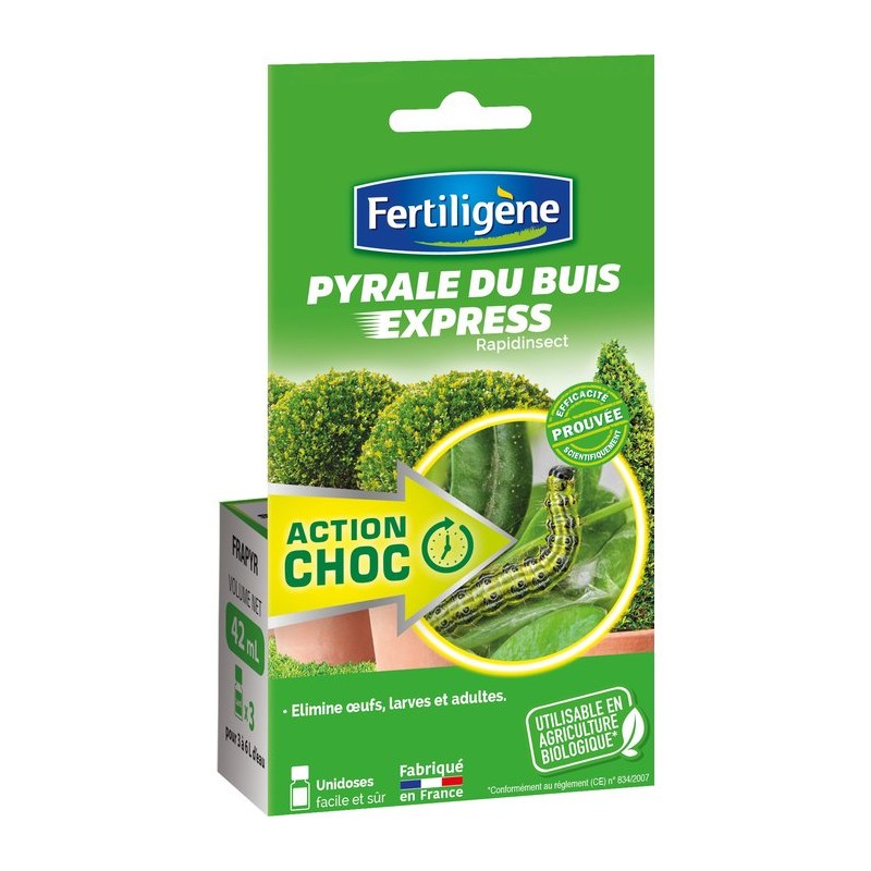 Pyrale du buis express