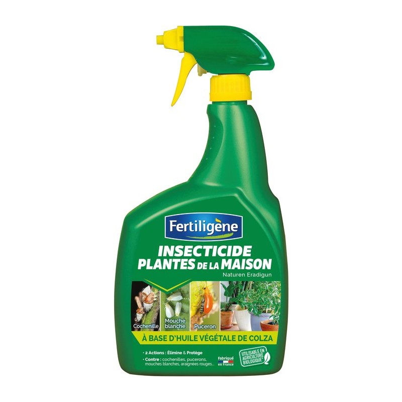 Insecticide plantes de la maison