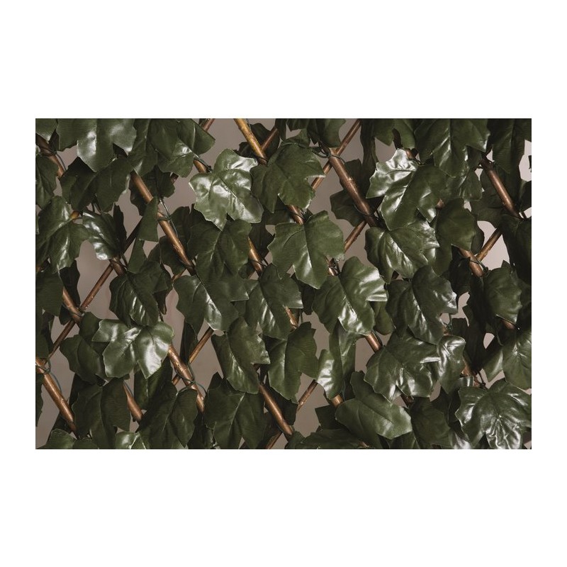 Treillis osier extensible à feuilles