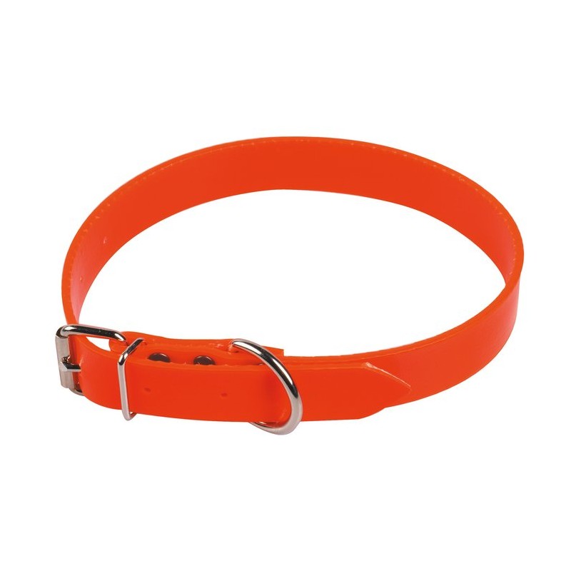 Collier fluo pour chien