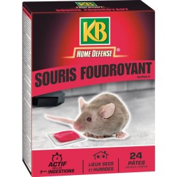 Pate pour souris Action radicale