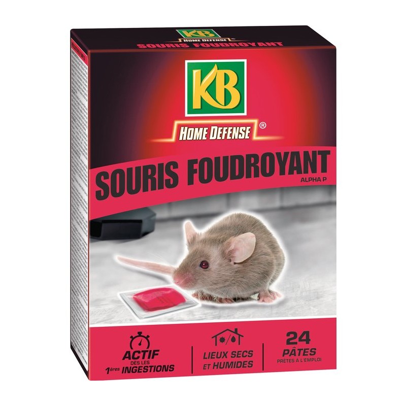 Pate pour souris Action radicale