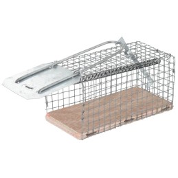 Nasse a rats galvanisee