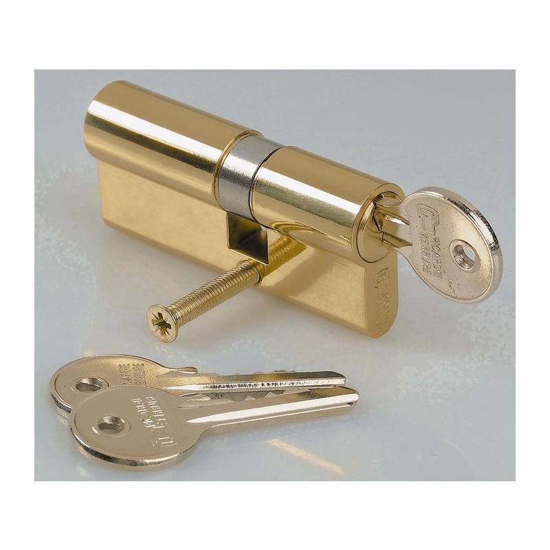 Cylindre de sureté asymétrique Carmine - Dimensions 30 x 50 mm