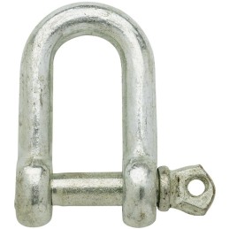 Manille piton a oeil