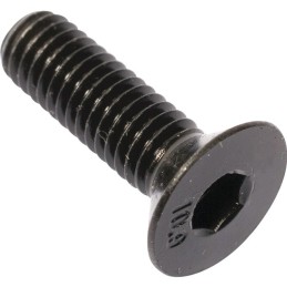 Vis tfhex creux 6x50 mm 10.9 brut din7991