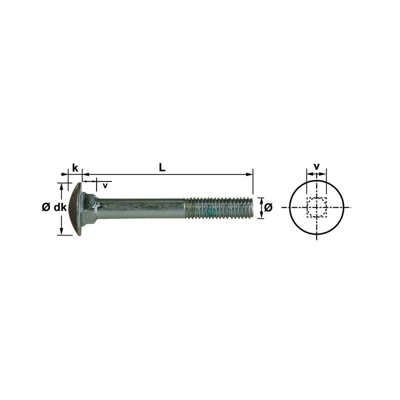 Vis trcc 6x30  mm inox A2 din603 (par 100)