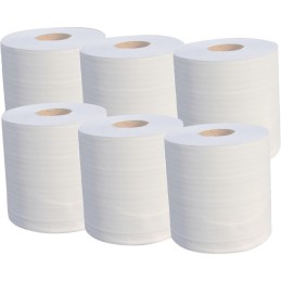 LOT 6 BOBINES OUATE BLANC ECO 450  19,5x30x6