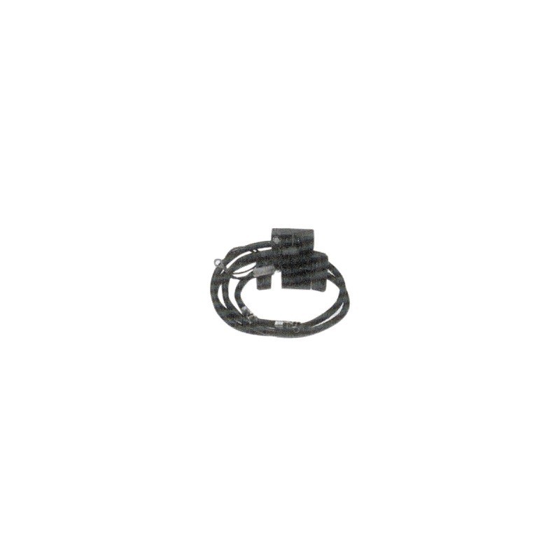 BOBINE ALLUMAGE POUR BRIGGS & STRATTON (394891/394895)