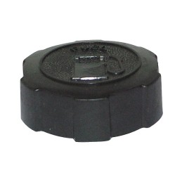 BOUCHON ESSENCE M43 POUR BRIGGS & STRATTON (397974)