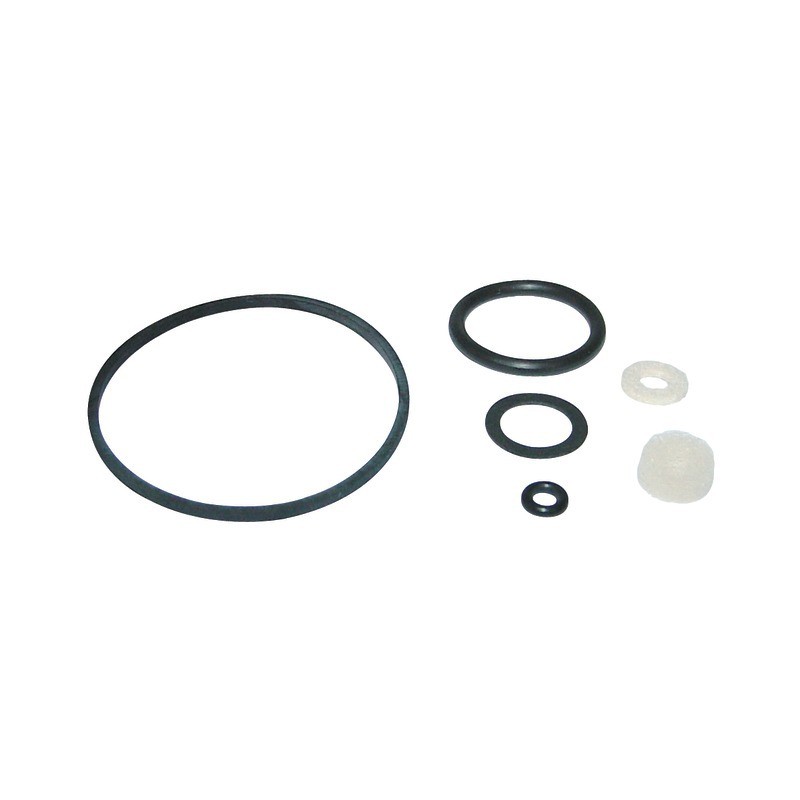 KIT JOINTS POUR BRIGGS & STRATTON (398183/490937)