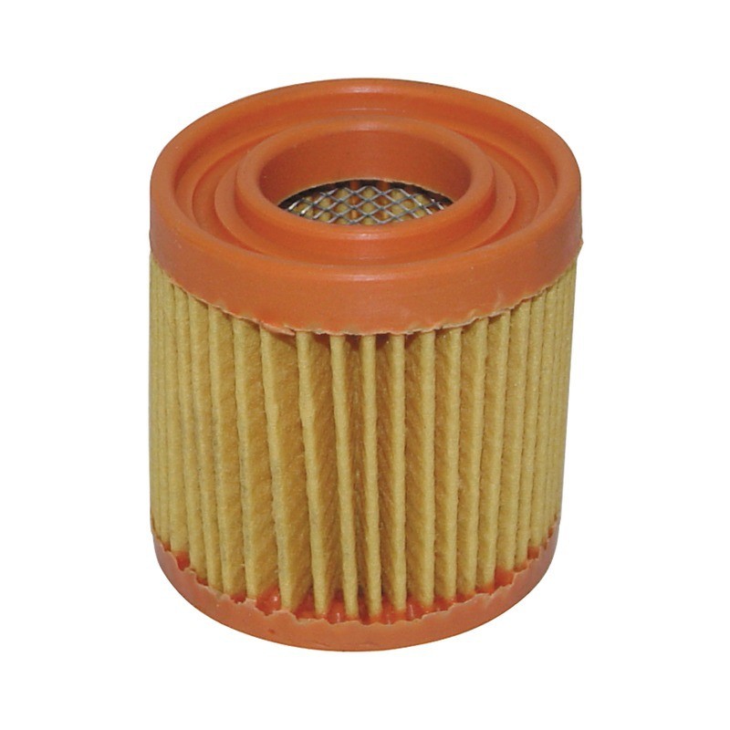 FILTRE A AIR POUR TECUMSEH BVL/BH (23410027)