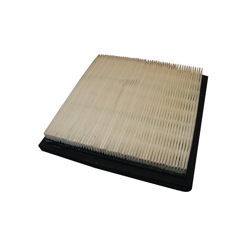 FILTRE A AIR POUR TECUMSEH ENDURO (37360)