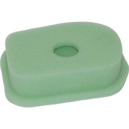FILTRE A AIR POUR BRIGGS & STRATTON 4CV (270848)