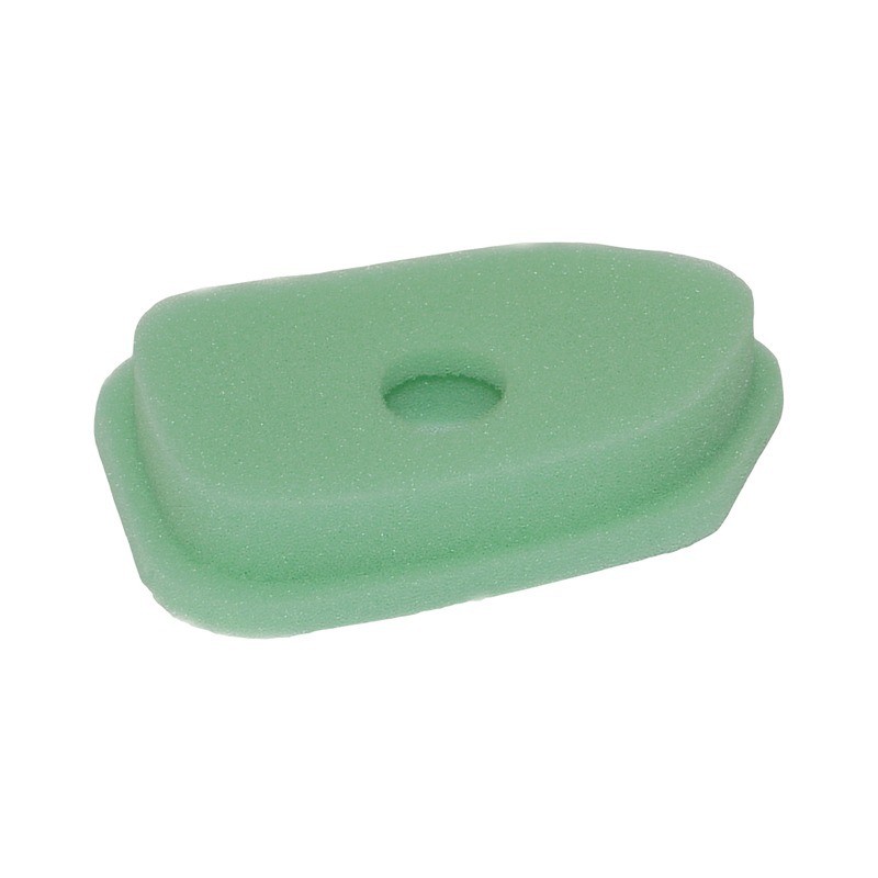 FILTRE A AIR POUR BRIGGS & STRATTON (272235)