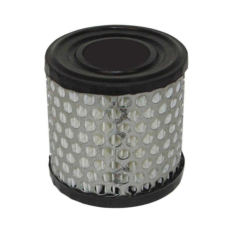 FILTRE A AIR POUR BRIGGS & STRATTON 2 A 5CV (396424)