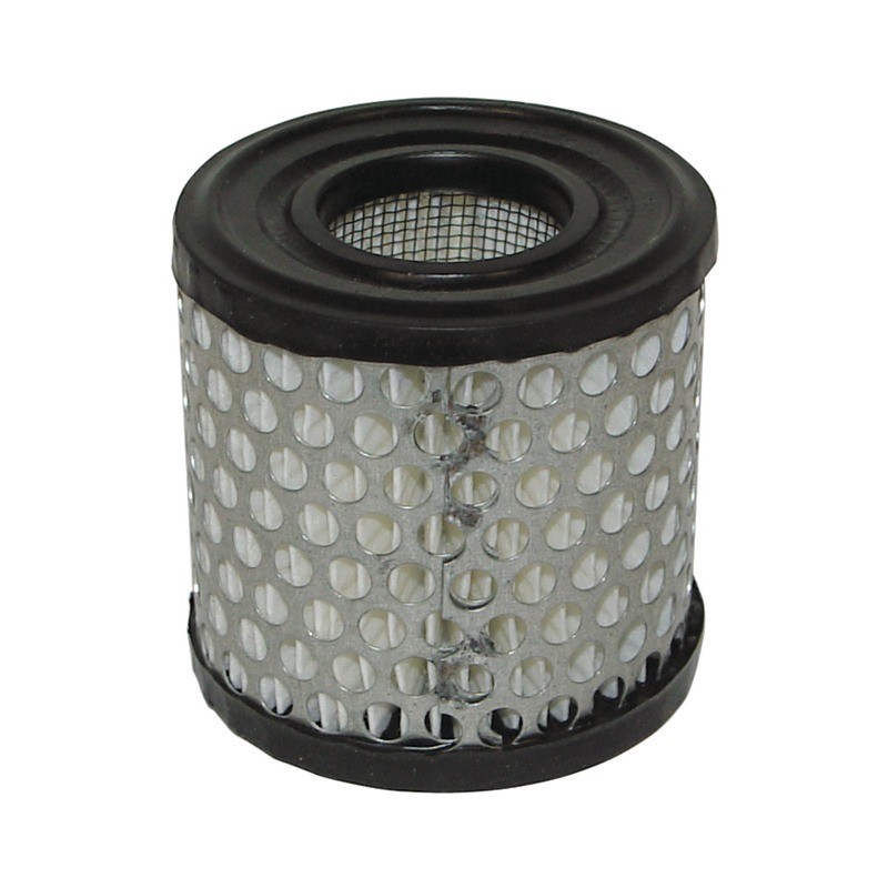 FILTRE A AIR POUR BRIGGS & STRATTON 2 A 5CV (392308)