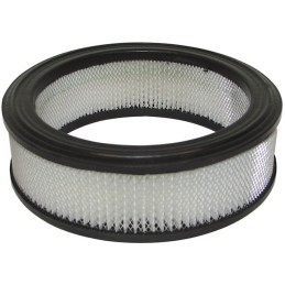 FILTRE AIR COURONNE POUR BRIGGS & STRATTON