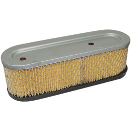 FILTRE A AIR POUR BRIGGS & STRATTON 10 A 12CV (491519)