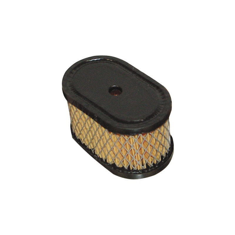 FILTRE A AIR POUR  BRIGGS & STRATTON 5CV (494586)