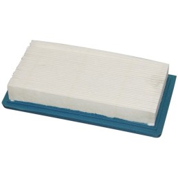 FILTRE A AIR POUR BRIGGS & STRATTON VANGUARD (494511)